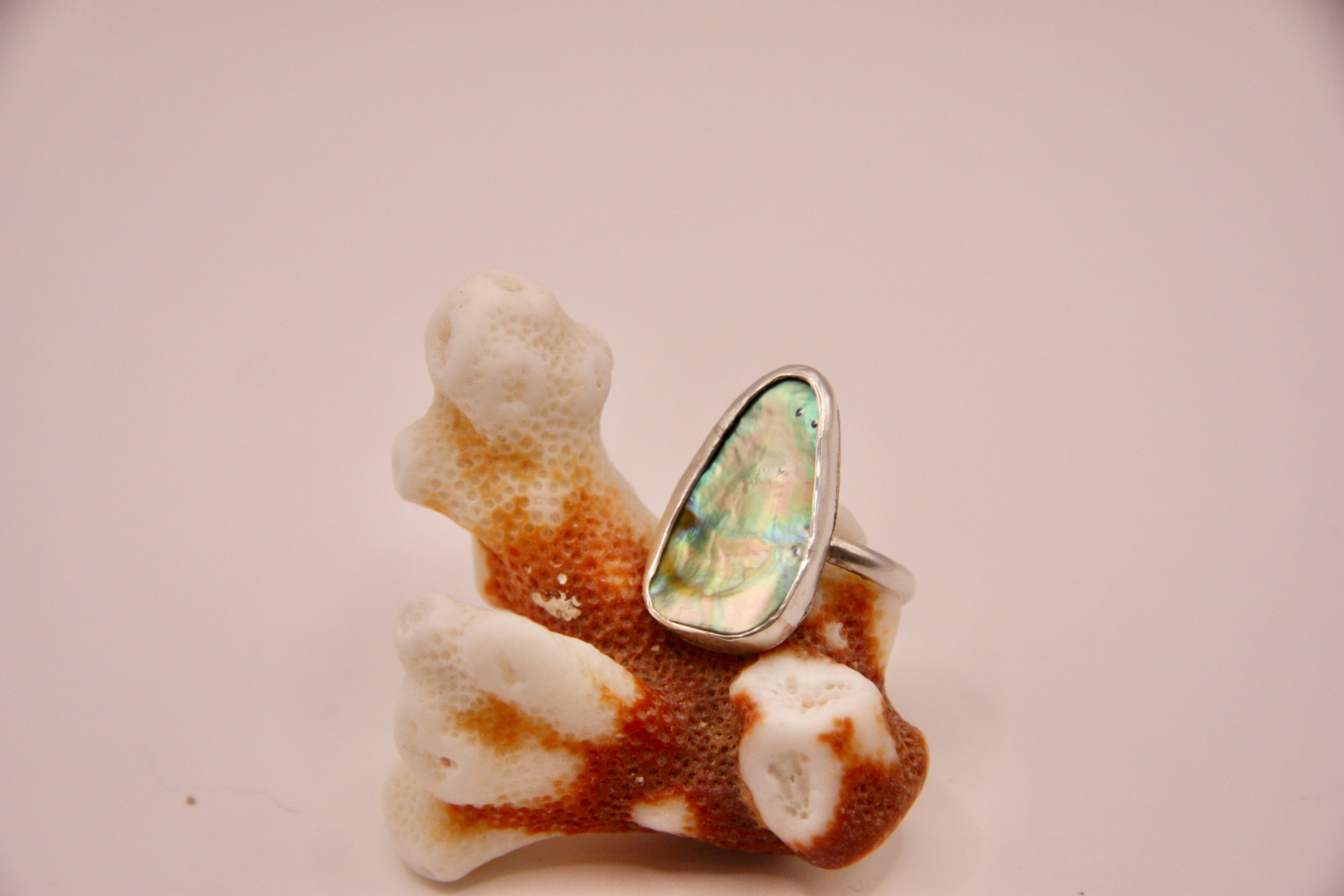 Plain Abalone Ring