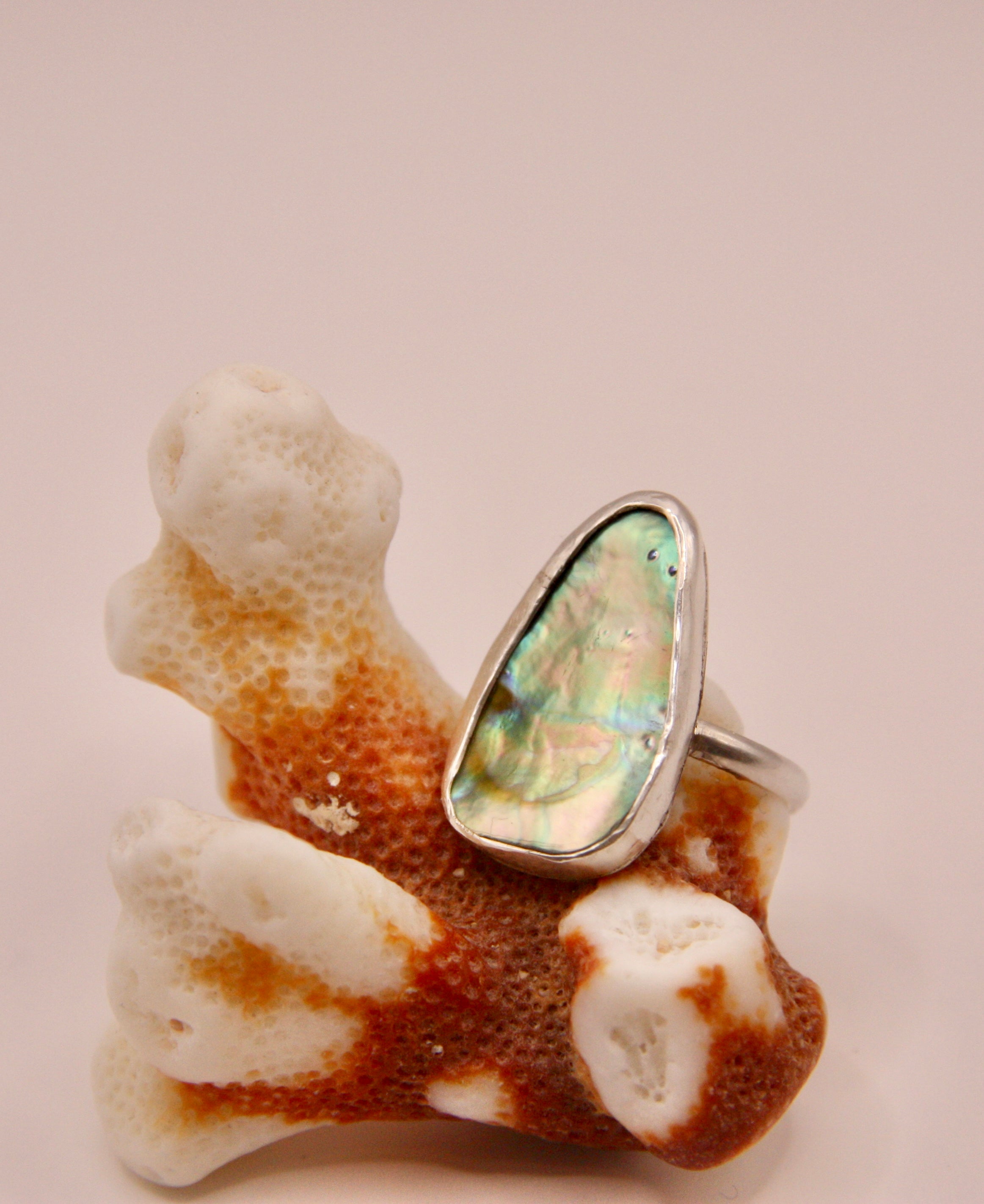 Plain Abalone Ring