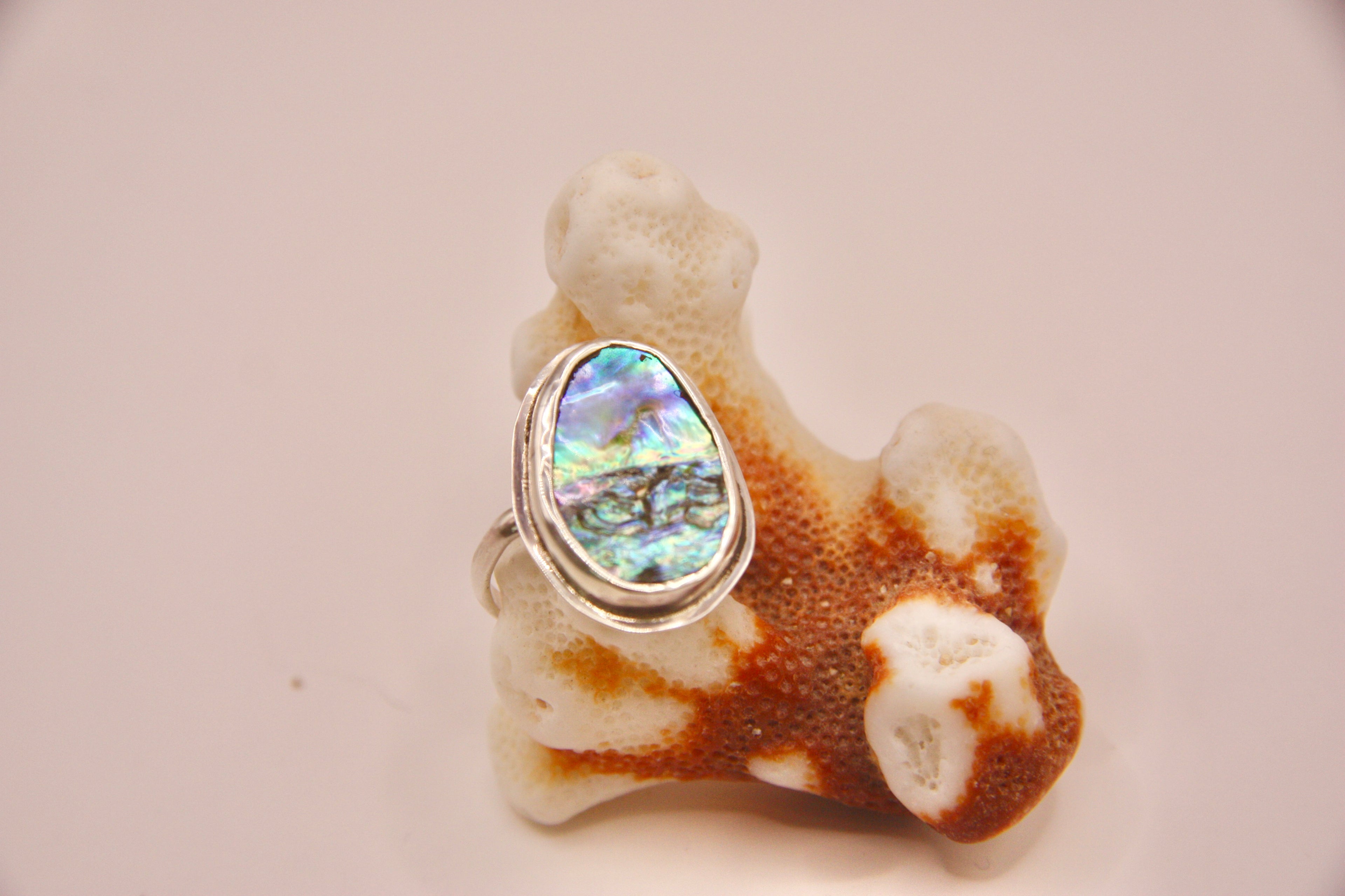 Abalone Ring with Border