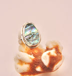 Abalone Ring with Border