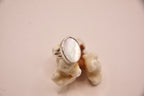Mother of Pearl Double Band Ring