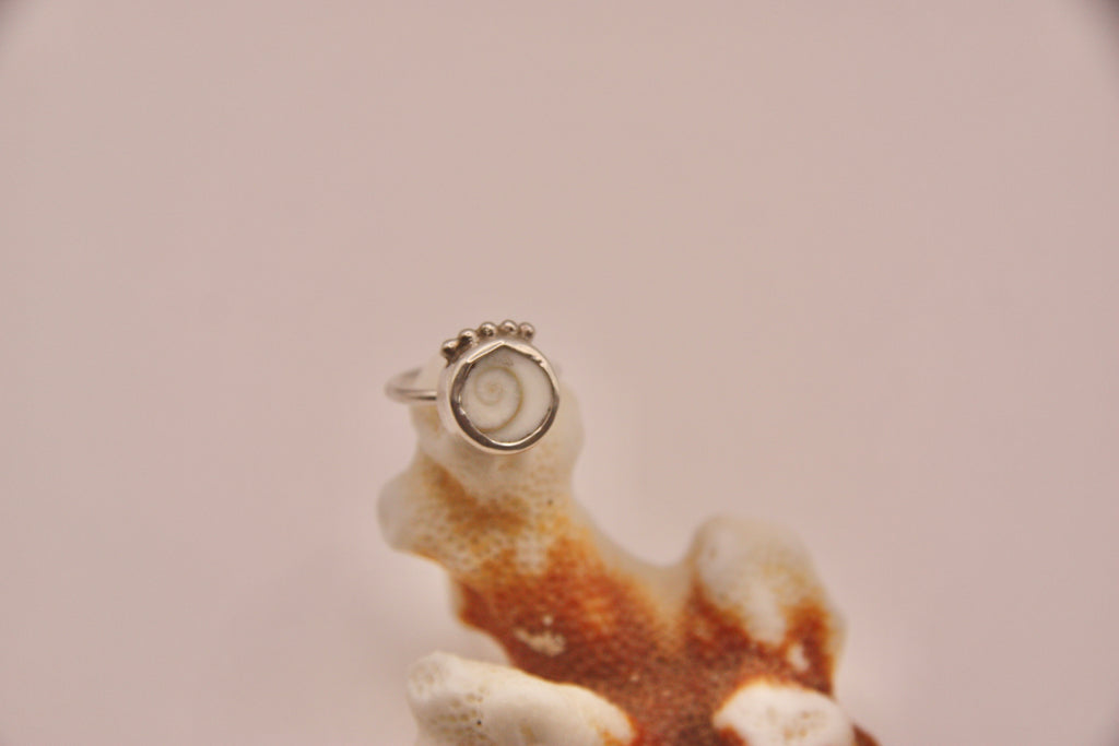 Shiva Shell Pinky Ring