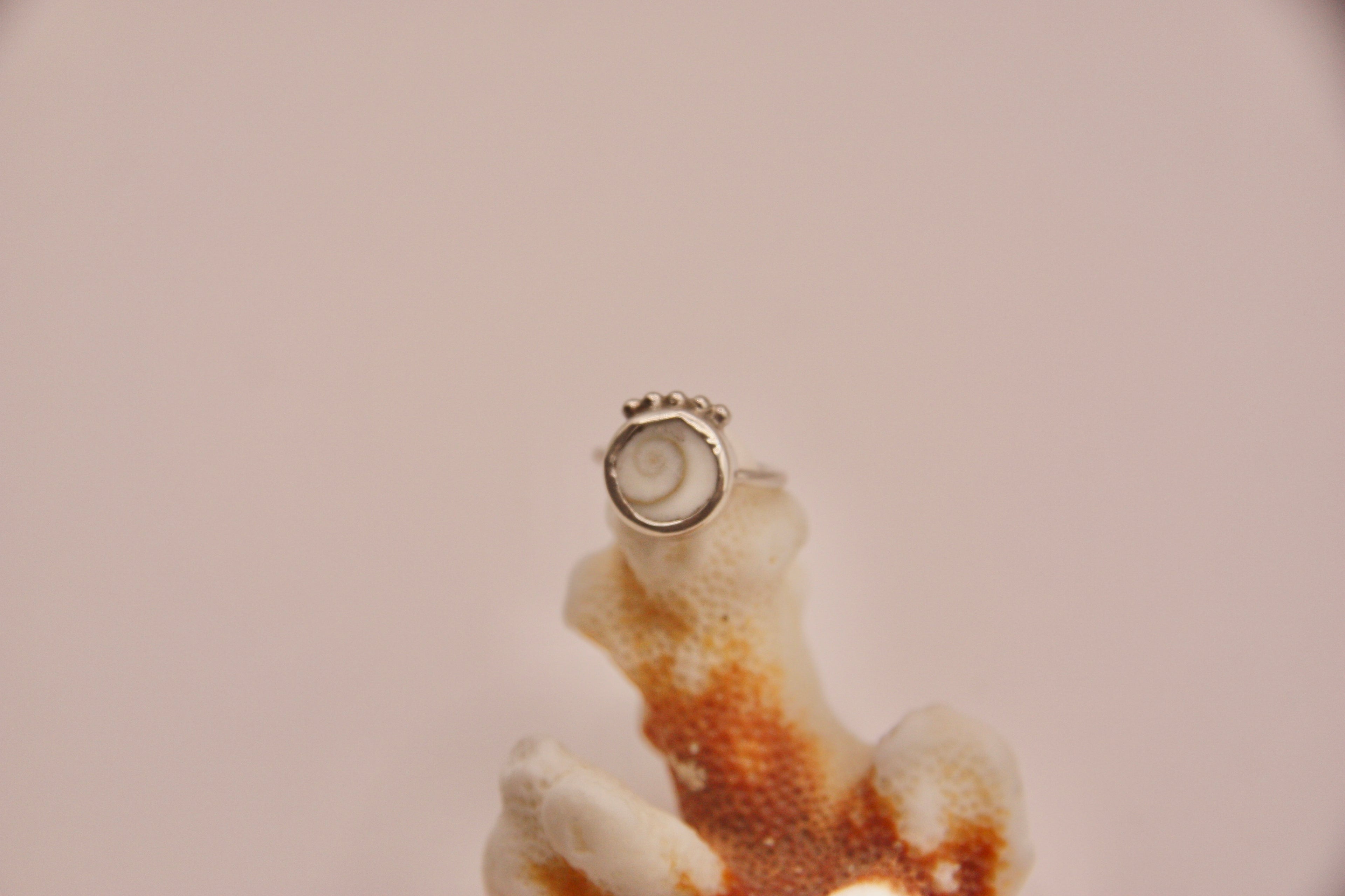 Shiva Shell Pinky Ring