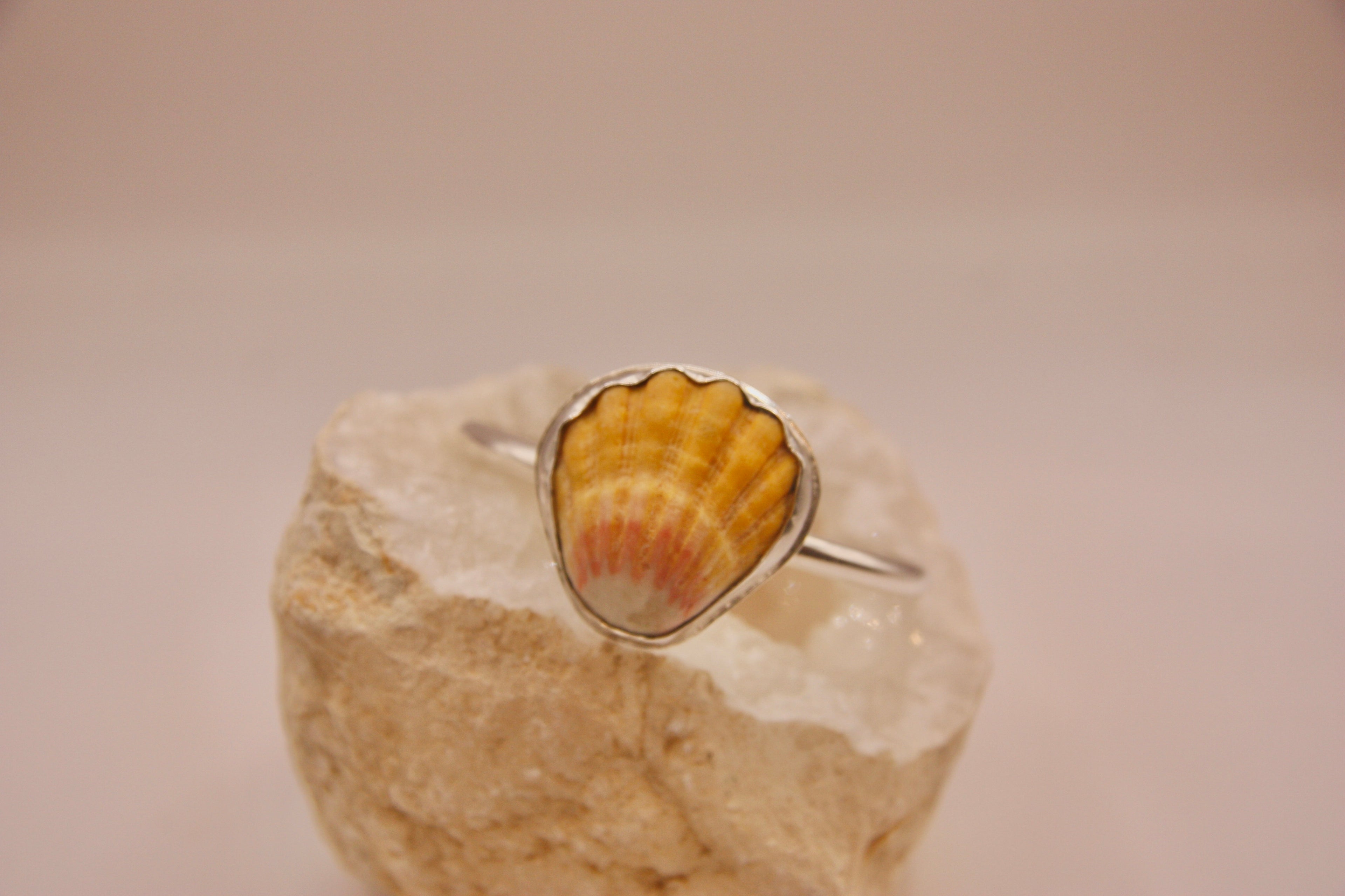 Rare Sunrise Shell Cuff