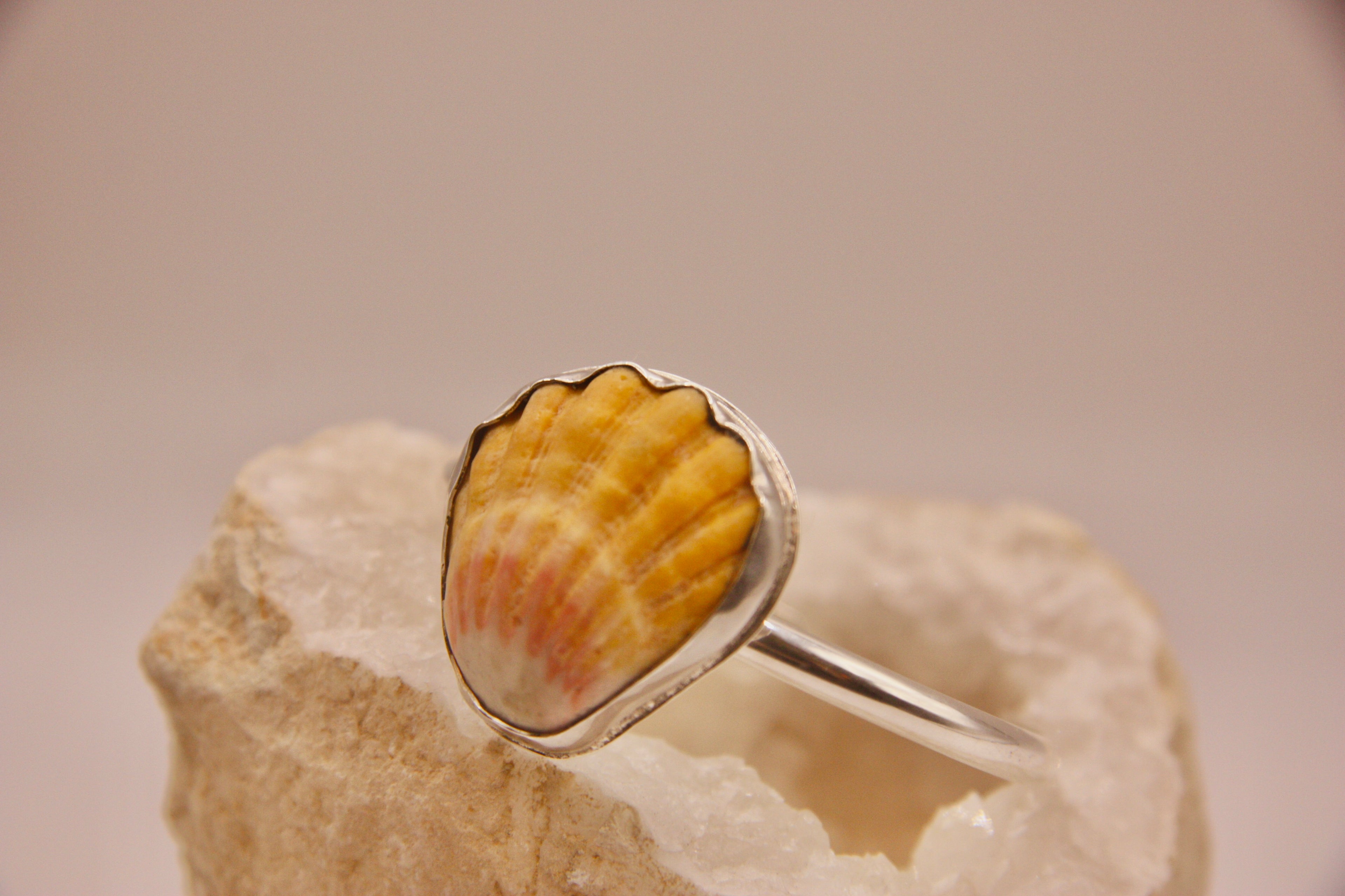 Rare Sunrise Shell Cuff