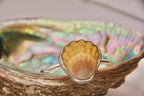 Rare Sunrise Shell Cuff