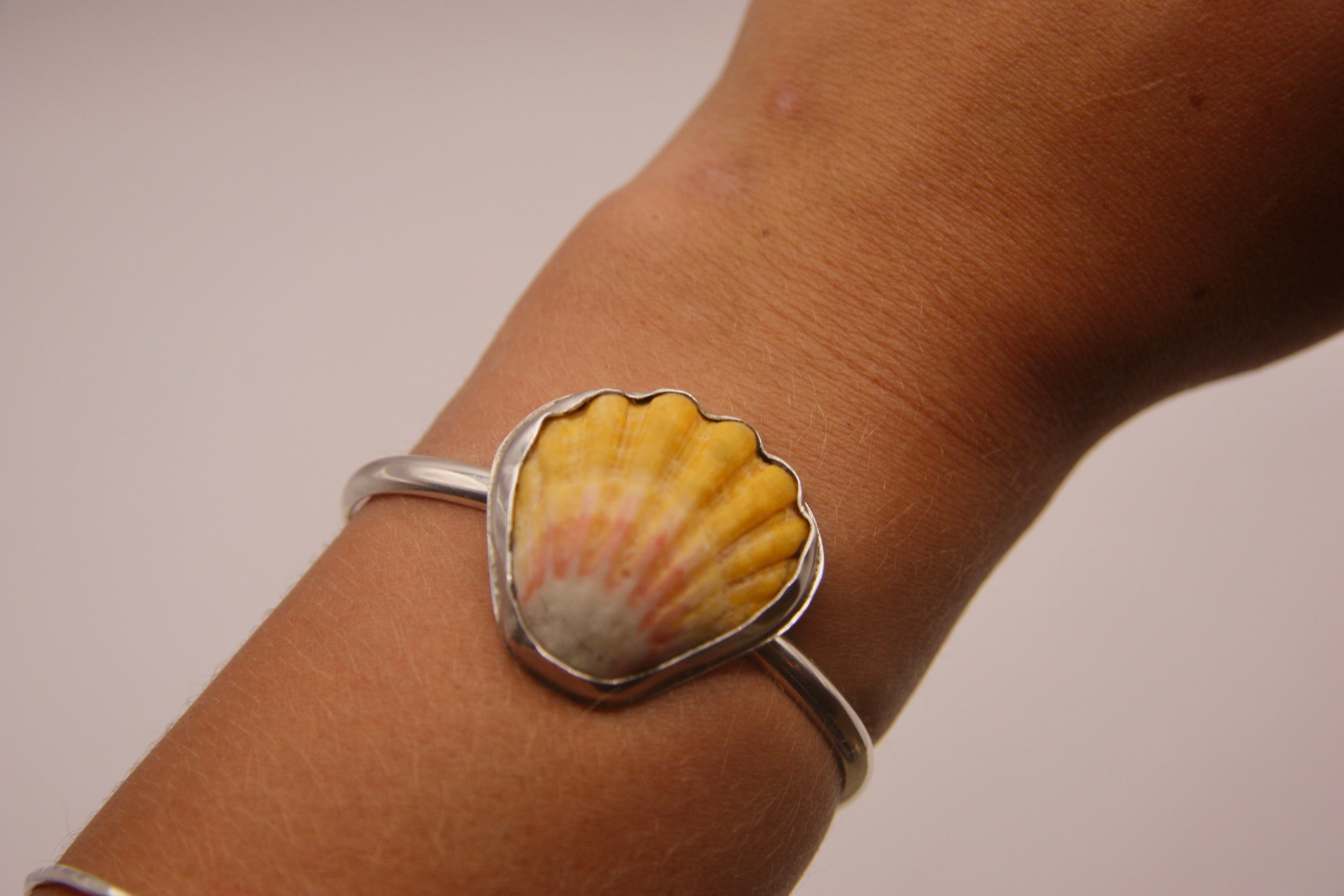Rare Sunrise Shell Cuff