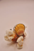 Rare Sunrise Shell Cuff