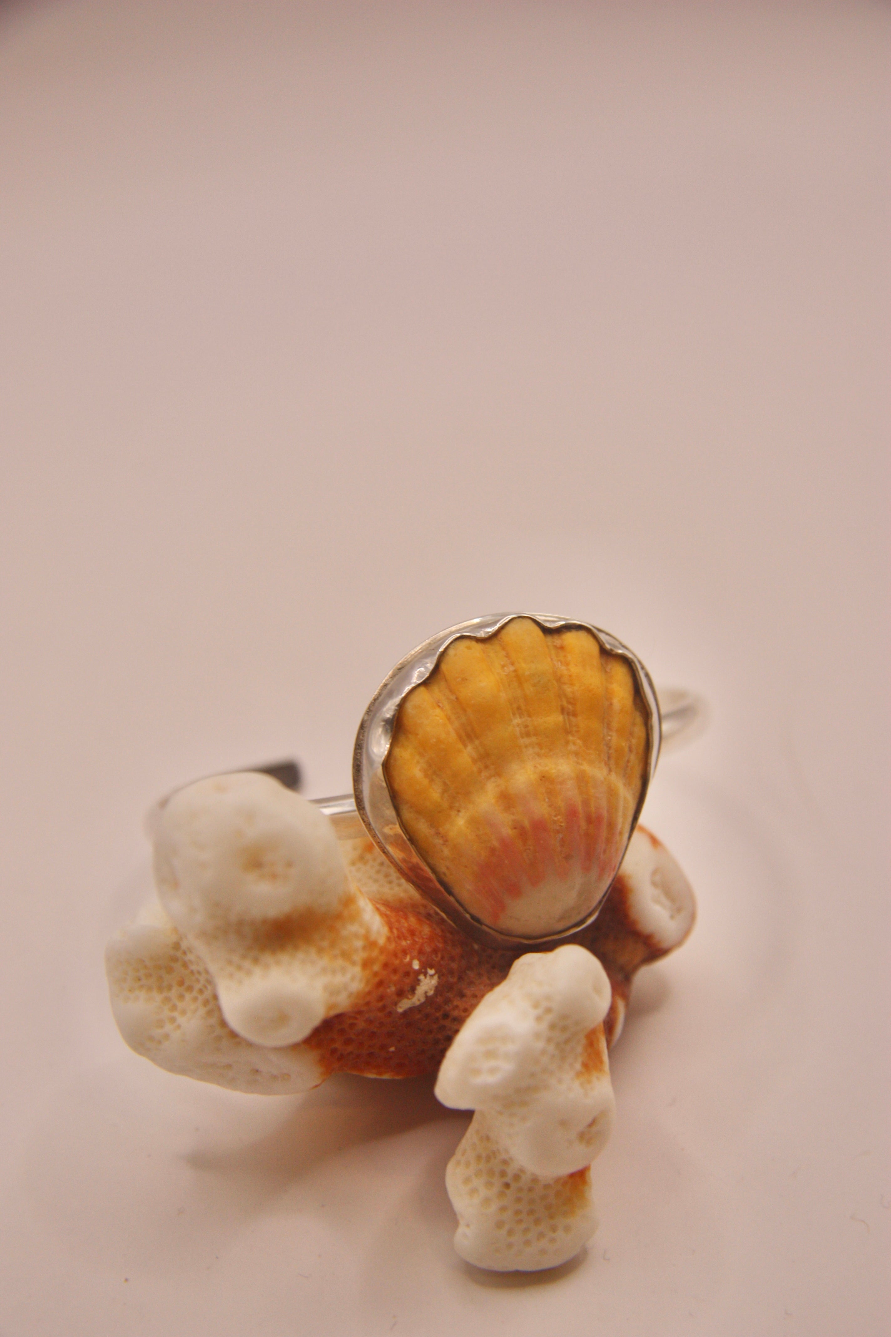 Rare Sunrise Shell Cuff