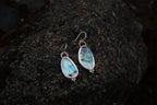 Dangling Double Sided Abalone Earrings