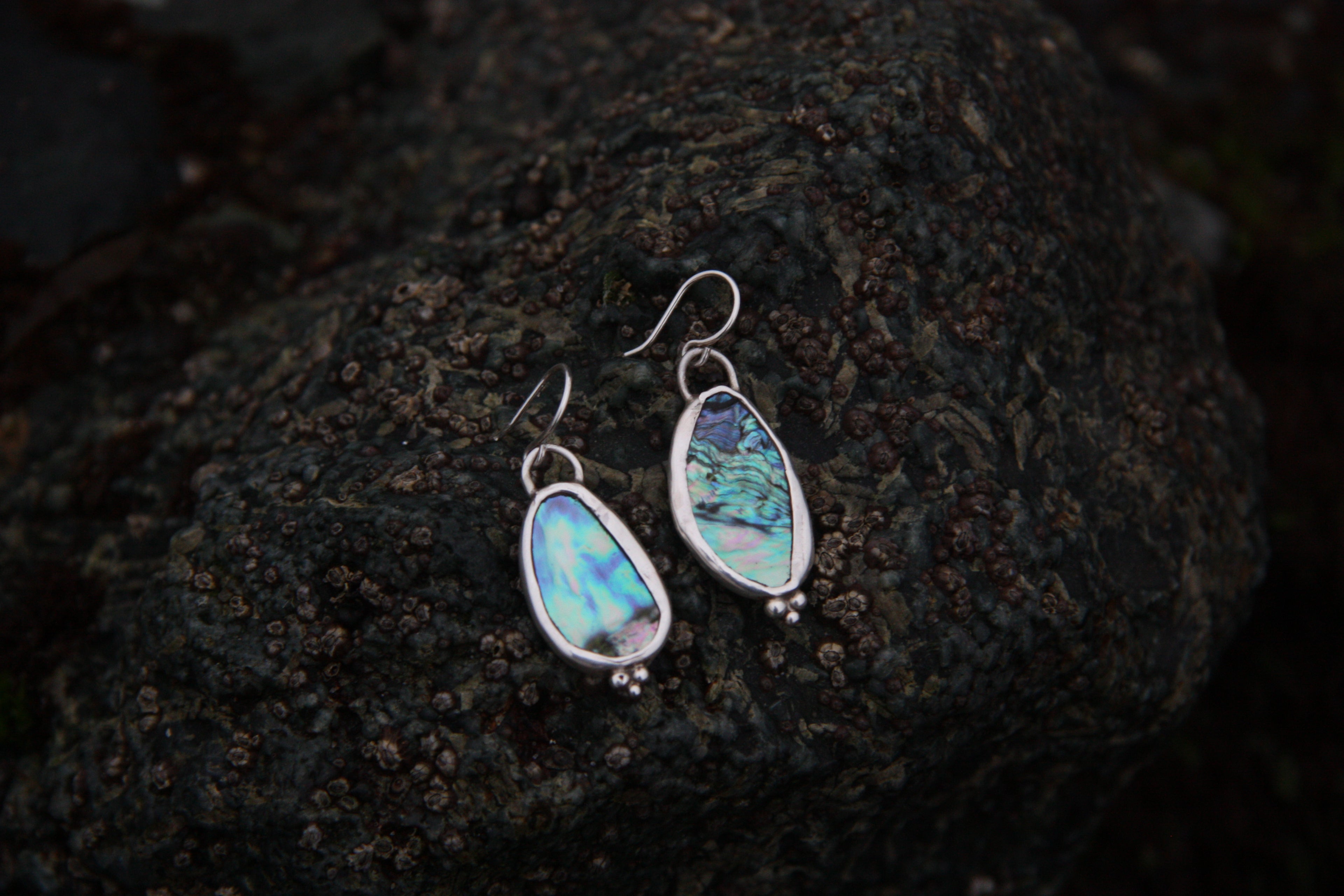 Dangling Double Sided Abalone Earrings